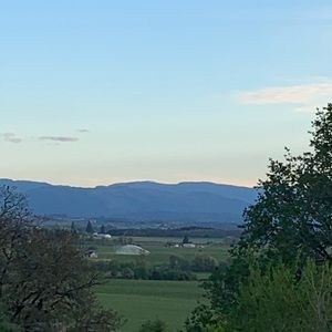 Meet your Posher, Hector